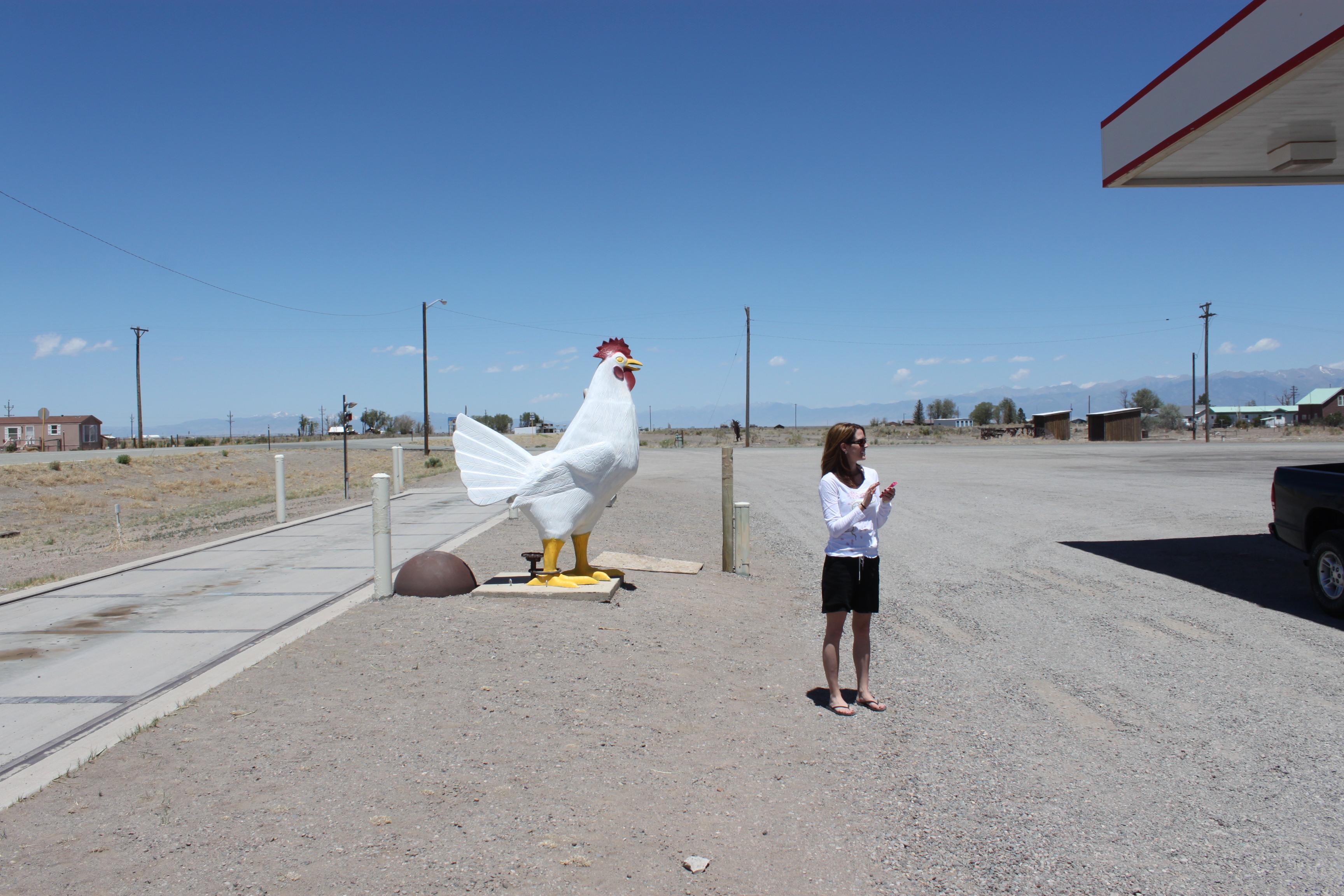 Chickens Make Me Happy