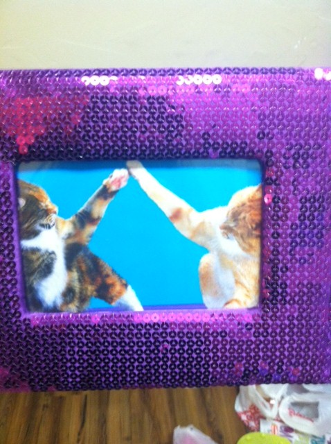 cats